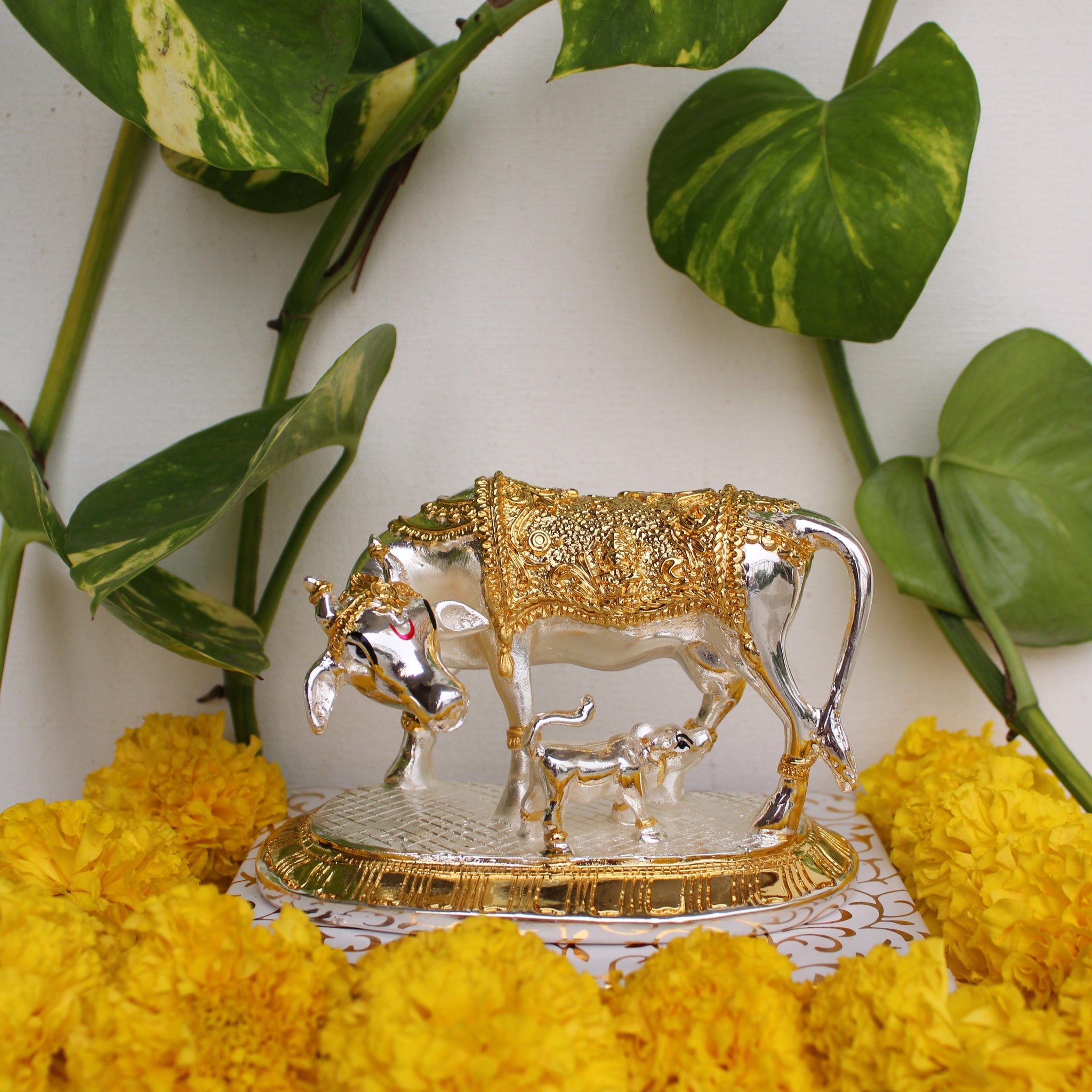 Kamdhenu Cow for Home: Meaning, Placement & Benefits